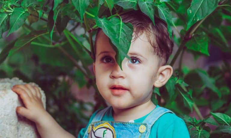 A kid standing next to a leafy bush