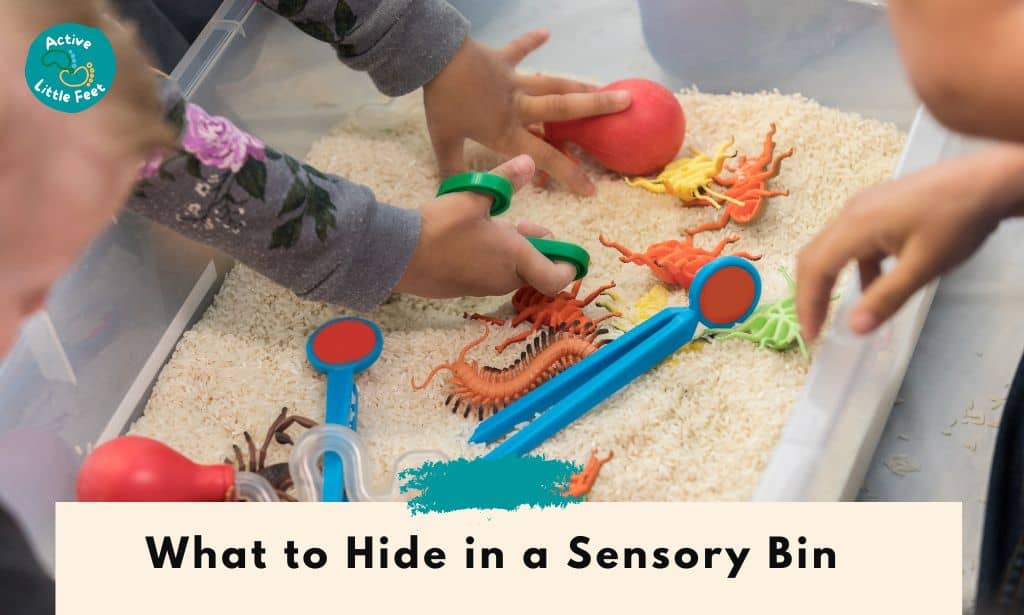 What to Hide in a Sensory Bin