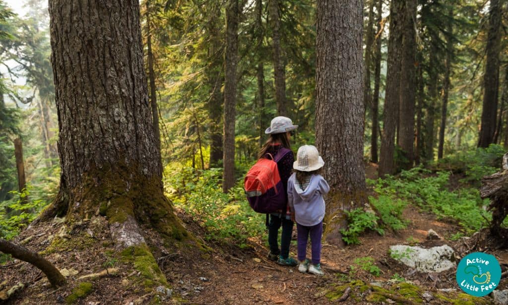 Hiking Boots vs. Sport Shoes