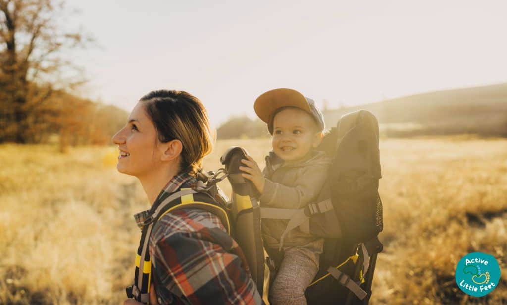 What are the Benefits of Hiking Carriers?