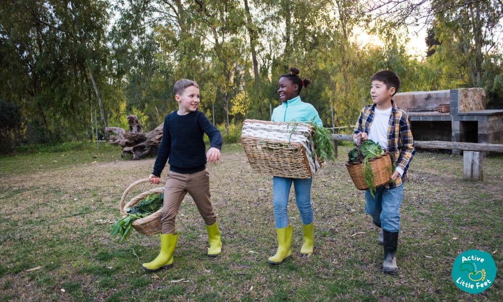 A Veggie Basket